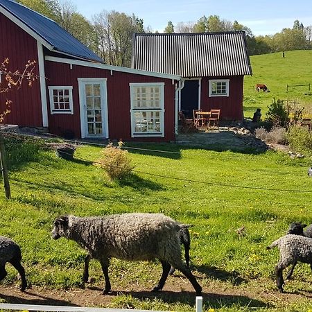 Bed and Breakfast Sjoebacken Gard Lerdala Esterno foto