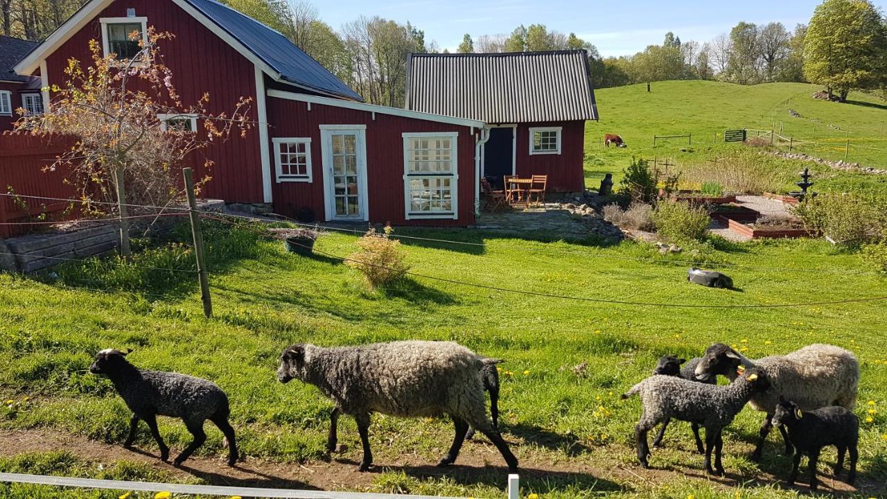Bed and Breakfast Sjoebacken Gard Lerdala Esterno foto